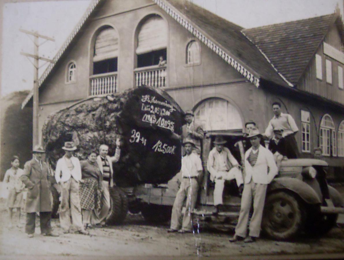 Hotel Scholze Canoinhas Extérieur photo